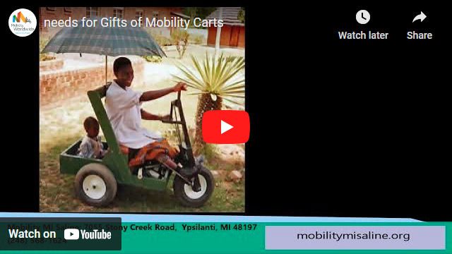 Needs for Gifts of Mobility Carts
